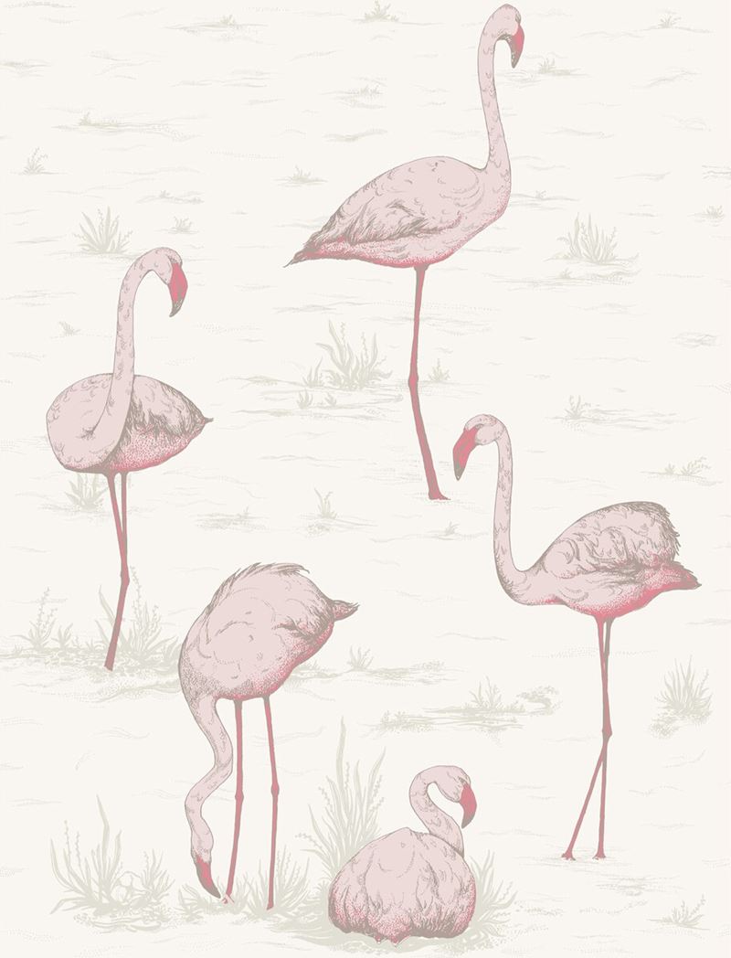 View 95/8045 Cs Flamingos Pink White By Cole and Son Wallpaper