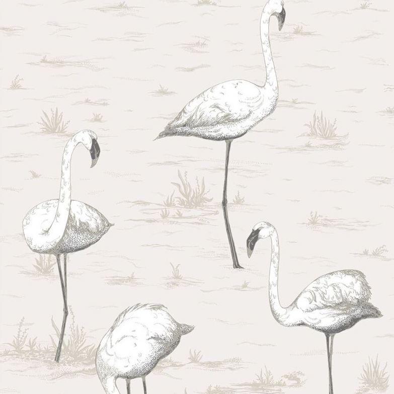 Save on 95/8046 Cs Flamingos Charcoal Wht By Cole and Son Wallpaper