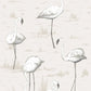 Acquire 95/8046 Cs Flamingos Charcoal Wht By Cole and Son Wallpaper