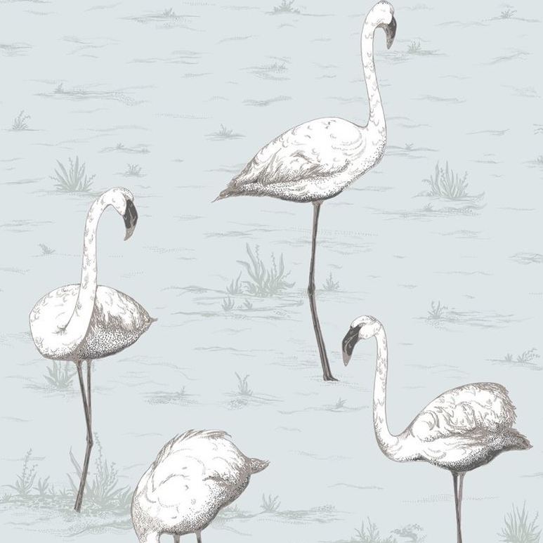 Search 95/8047 Cs Flamingos Charcoal Aqua By Cole and Son Wallpaper