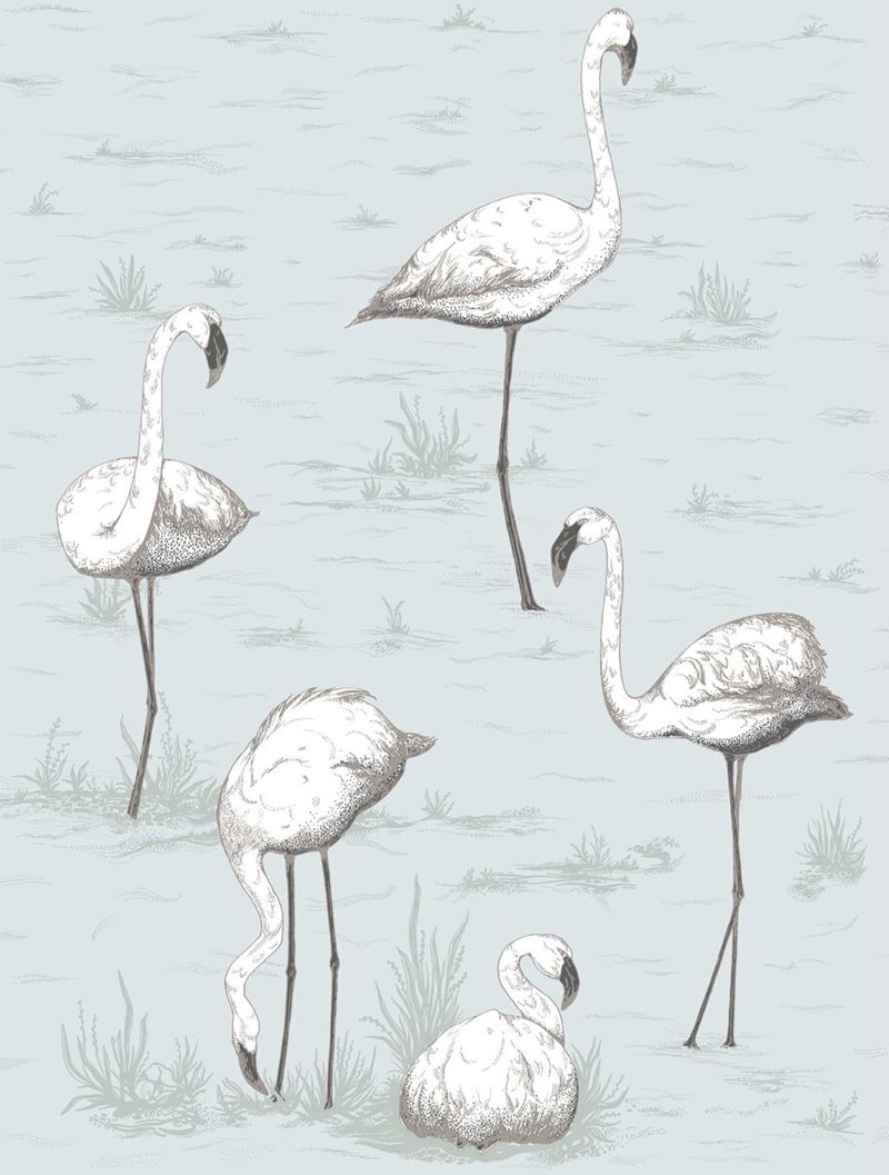 Shop 95/8047 Cs Flamingos Charcoal Aqua By Cole and Son Wallpaper