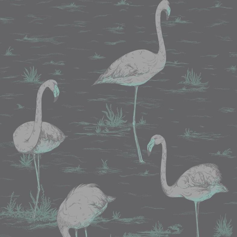 Select 95/8048 Cs Flamingos Teal Slvr Bk By Cole and Son Wallpaper