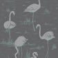 Buy 95/8048 Cs Flamingos Teal Slvr Bk By Cole and Son Wallpaper