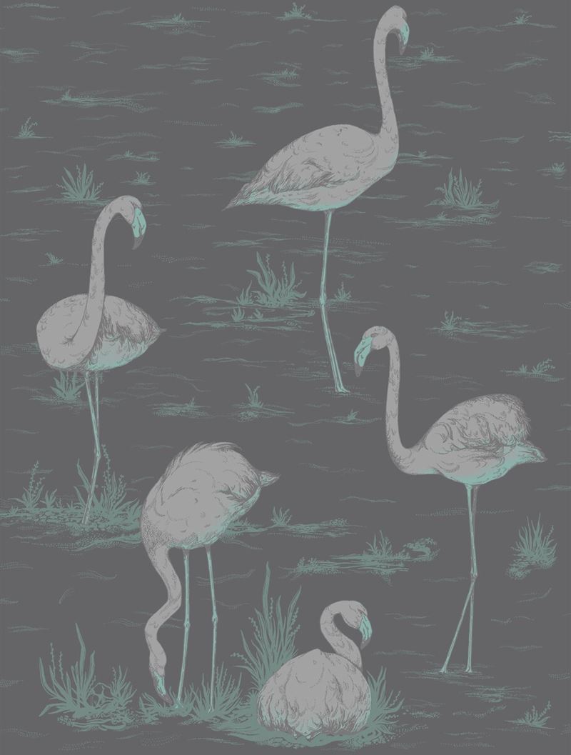 Buy 95/8048 Cs Flamingos Teal Slvr Bk By Cole and Son Wallpaper