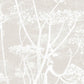 Find 95/9051 Cs Cow Parsley Linen White By Cole and Son Wallpaper