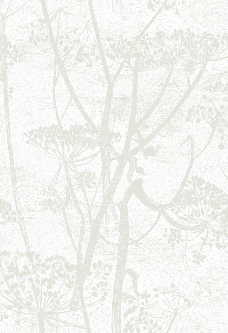 95/9052 | Cole and Son Wallpaper | Cow Parsley | Wallcovering