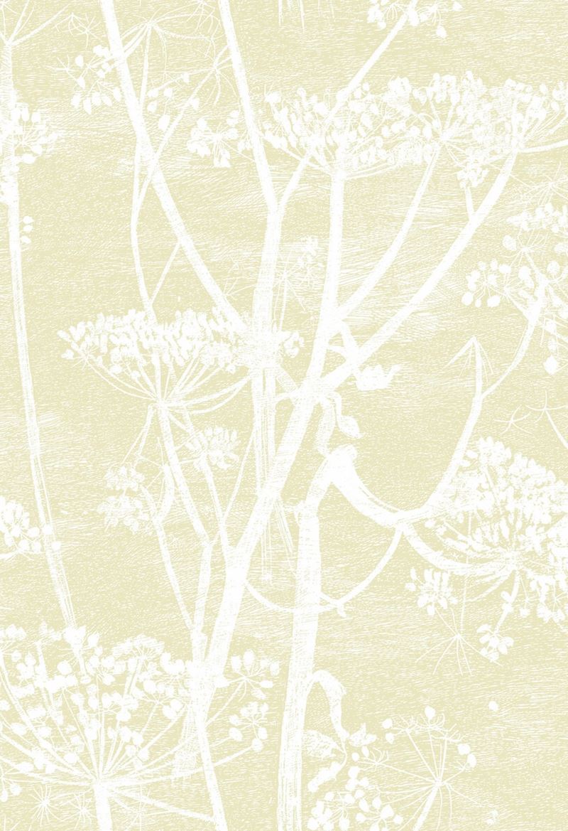 Save on 95/9053 Cs Cow Parsley Straw White By Cole and Son Wallpaper