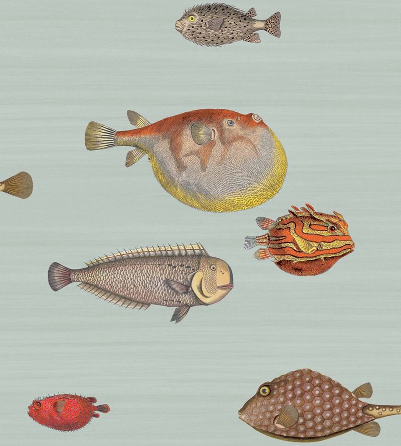 Looking for 97/10030 Cs Acquario Pal Bl And Mlt By Cole and Son Wallpaper