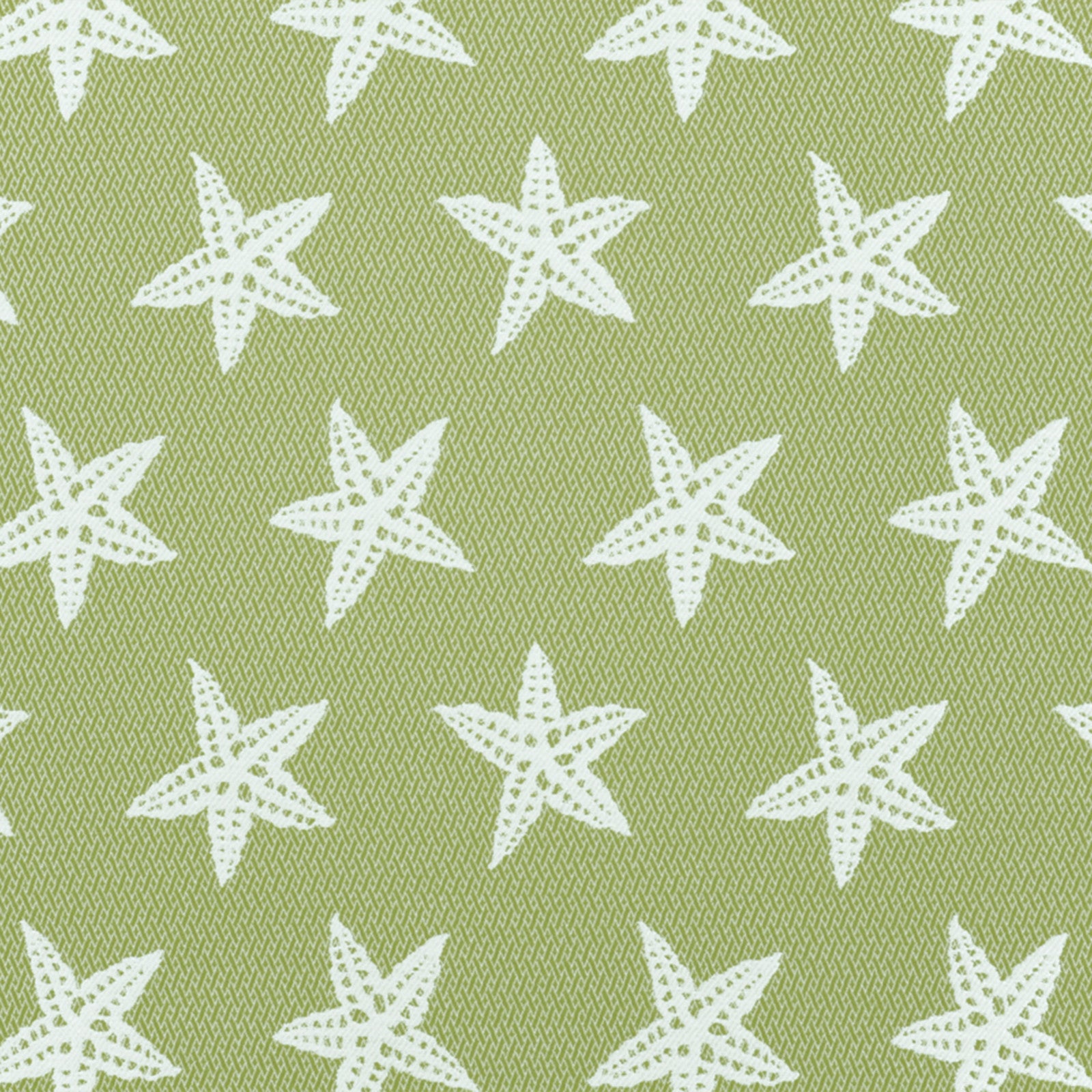 Purchase Greenhouse Fabric A8043 Tropique