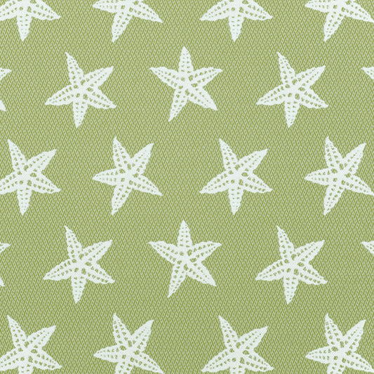 Purchase Greenhouse Fabric A8043 Tropique