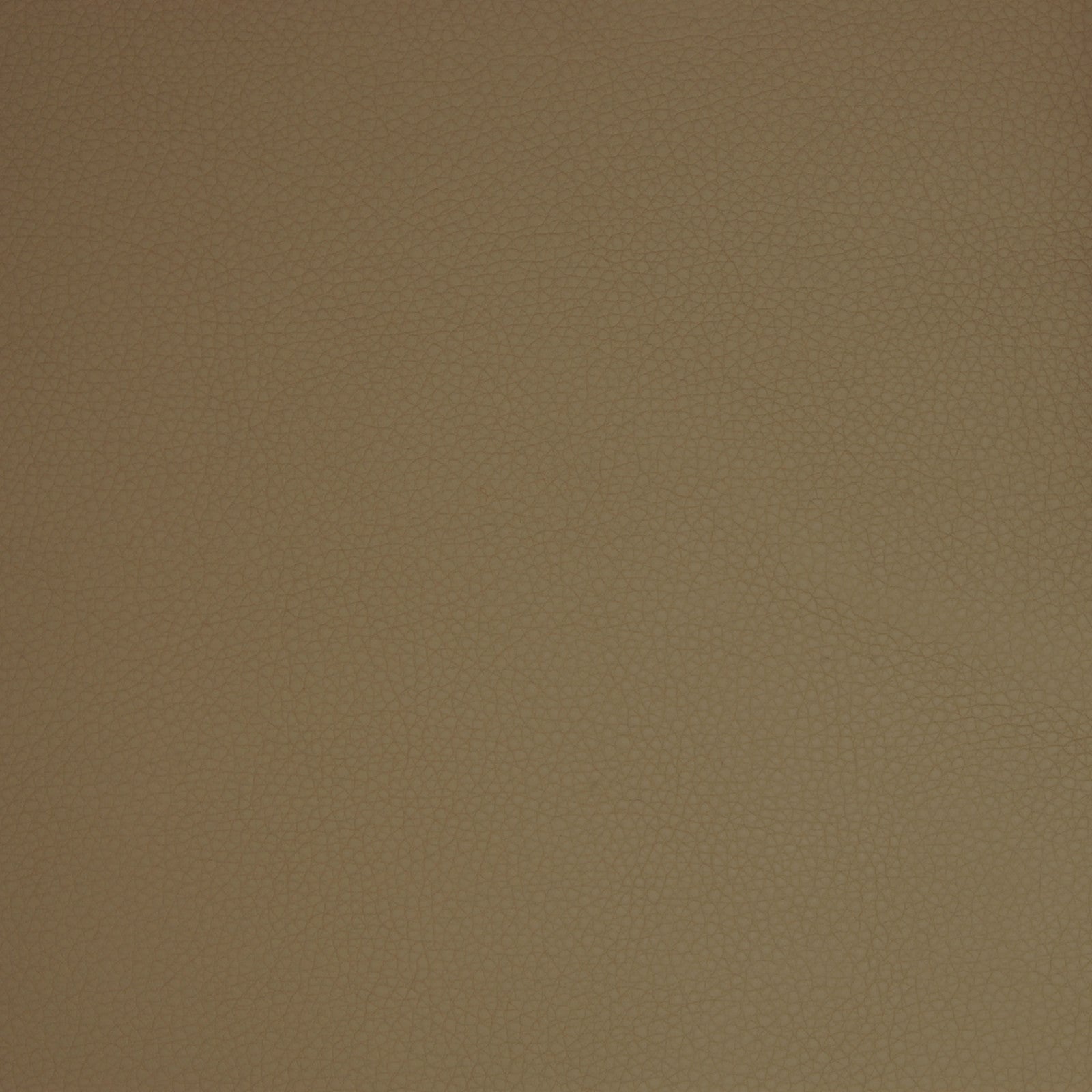 Purchase Greenhouse Fabric A9205 Taupe