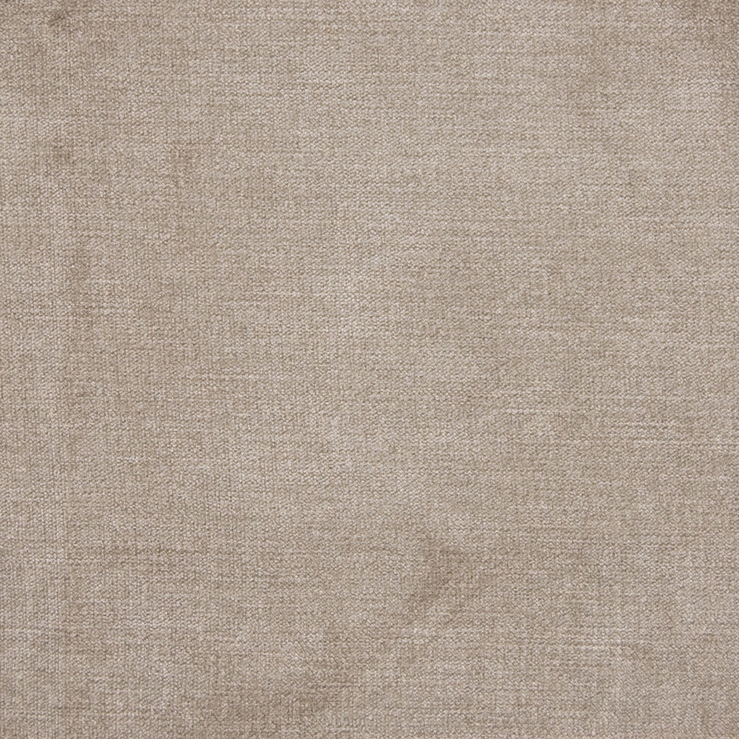 Purchase Greenhouse Fabric B1262 Birch