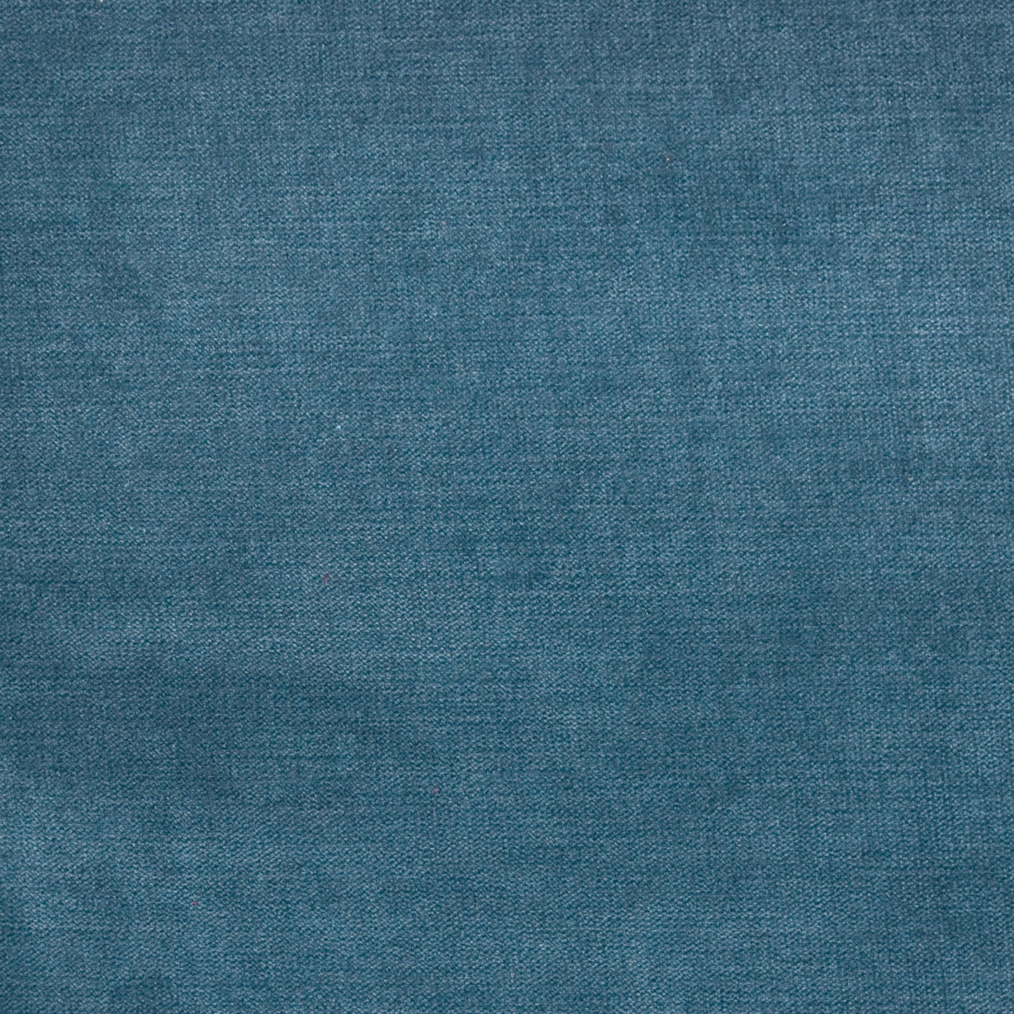 Purchase Greenhouse Fabric B1277 Blueberry