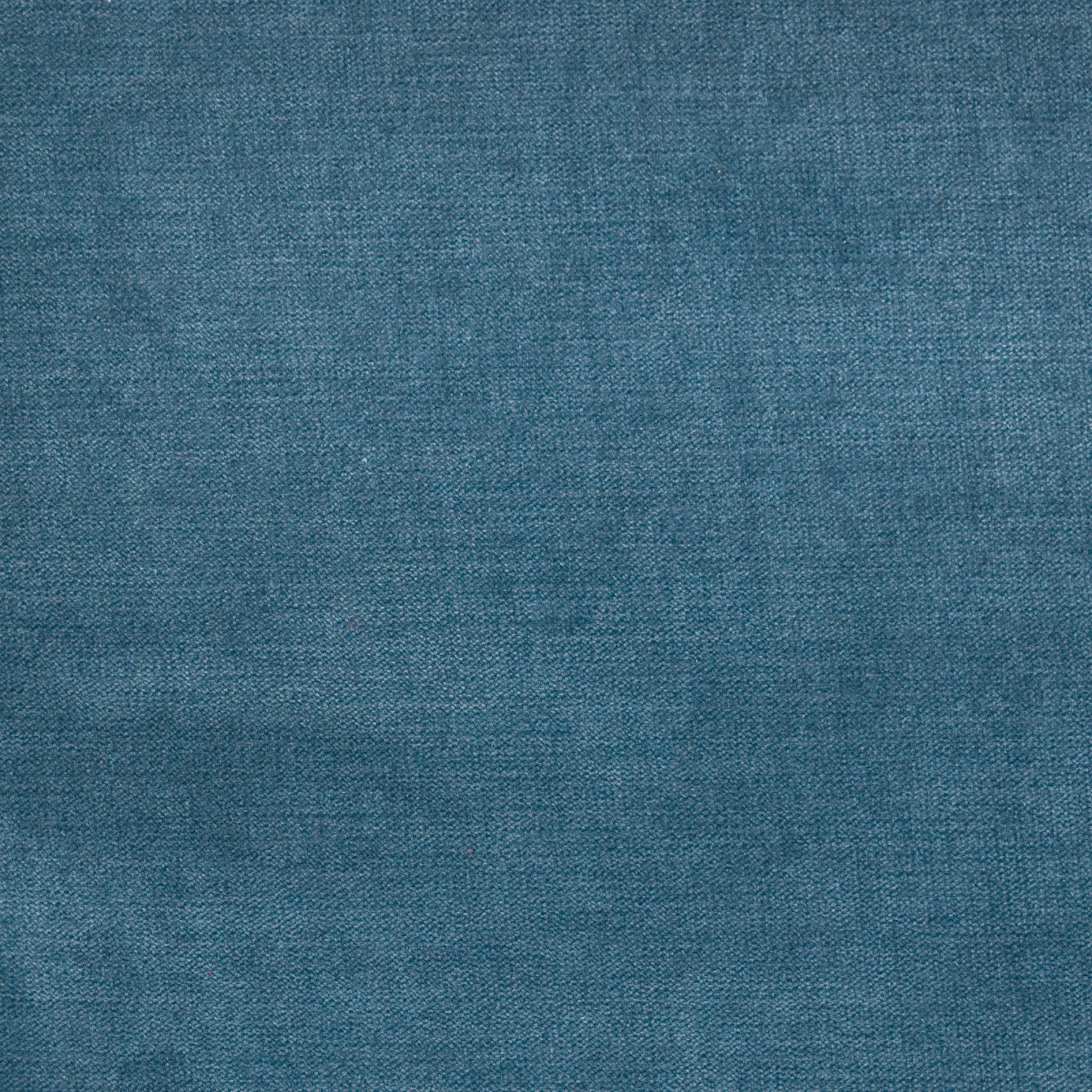 Purchase Greenhouse Fabric B1277 Blueberry