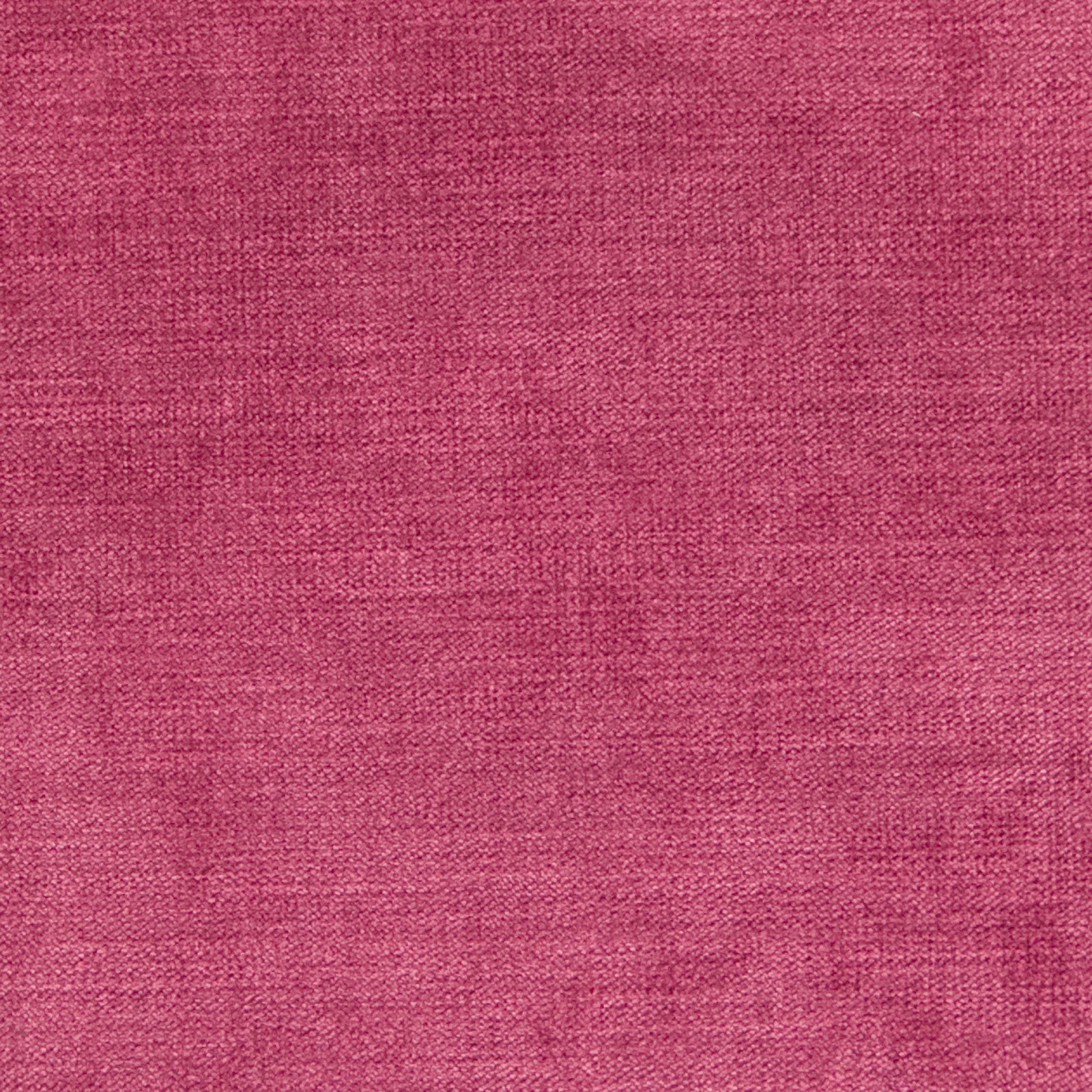 Purchase Greenhouse Fabric B1279 Pink