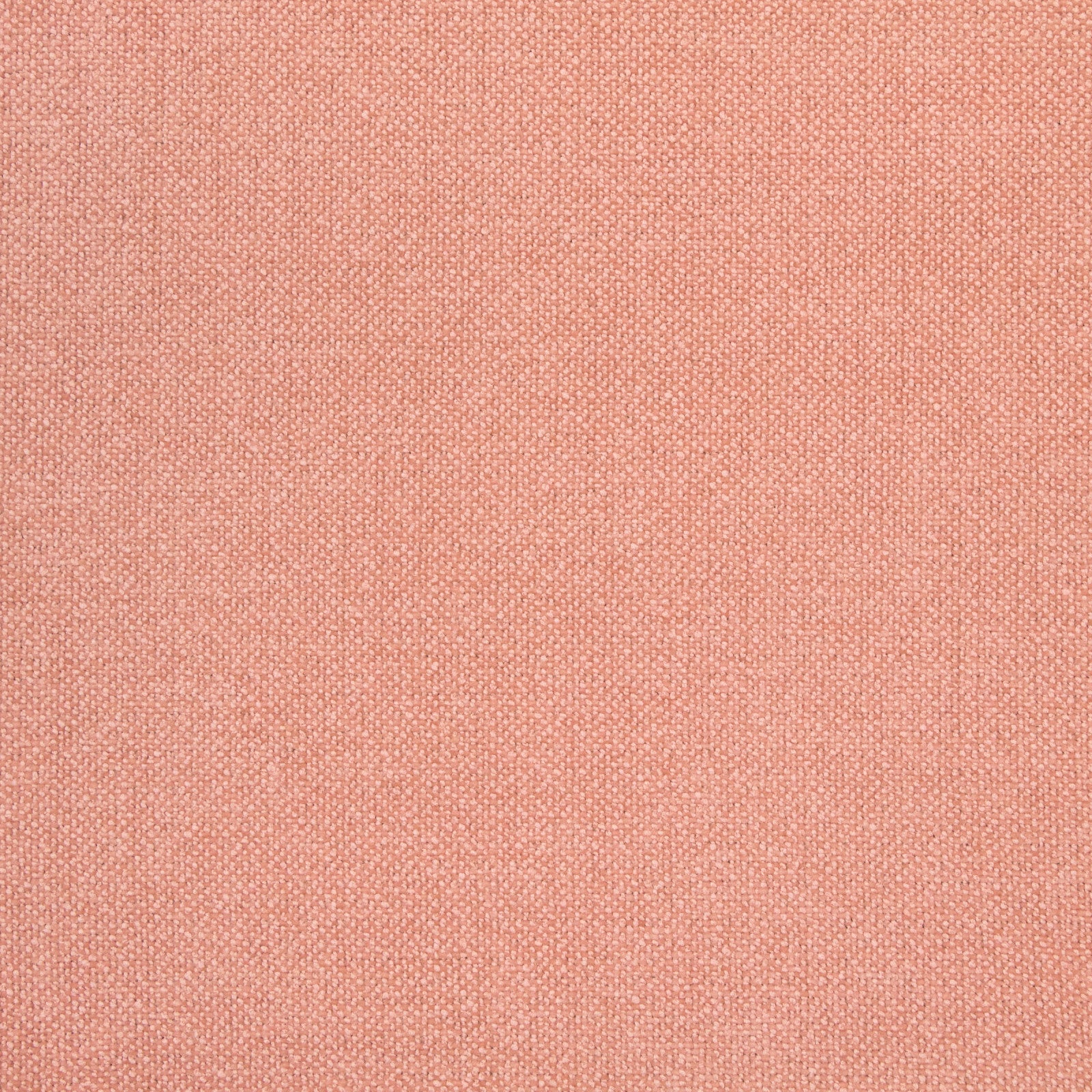Purchase Greenhouse Fabric B8584 Guava