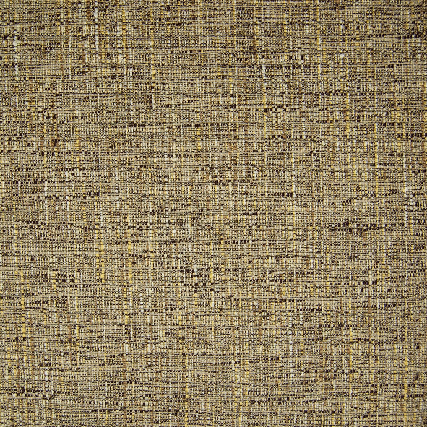 Purchase Greenhouse Fabric B9896 Coin