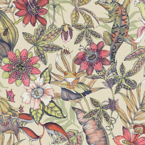 Bl1704 | Blooms, Rainforest - York Wallpaper