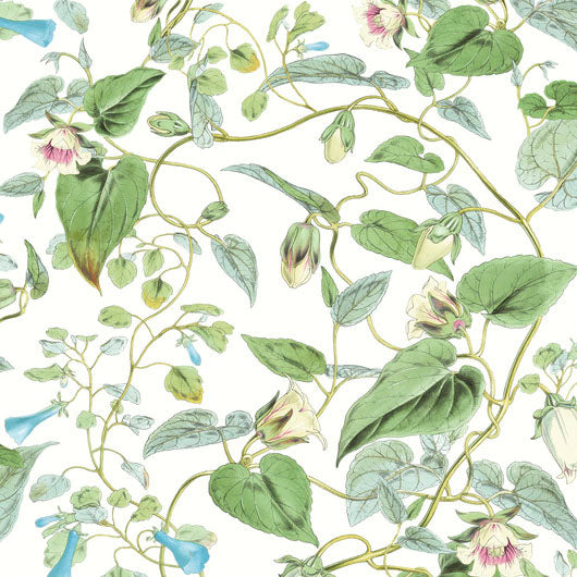 Purchase Bl1711 | Blooms, Moon Flower - York Wallpaper