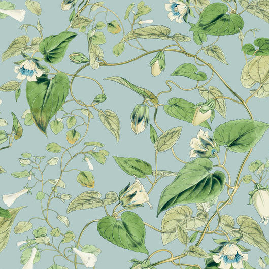 Purchase Bl1714 | Blooms, Moon Flower - York Wallpaper