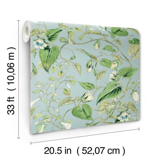 Purchase Bl1714 | Blooms, Moon Flower - York Wallpaper