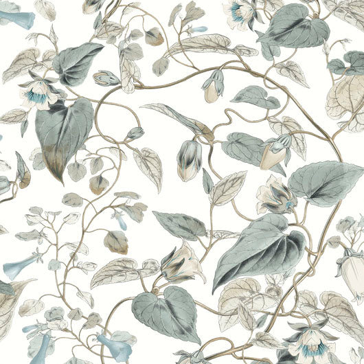 Purchase Bl1715 | Blooms, Moon Flower - York Wallpaper