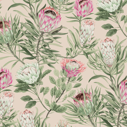 Purchase Bl1751 | Blooms, Protea - York Wallpaper