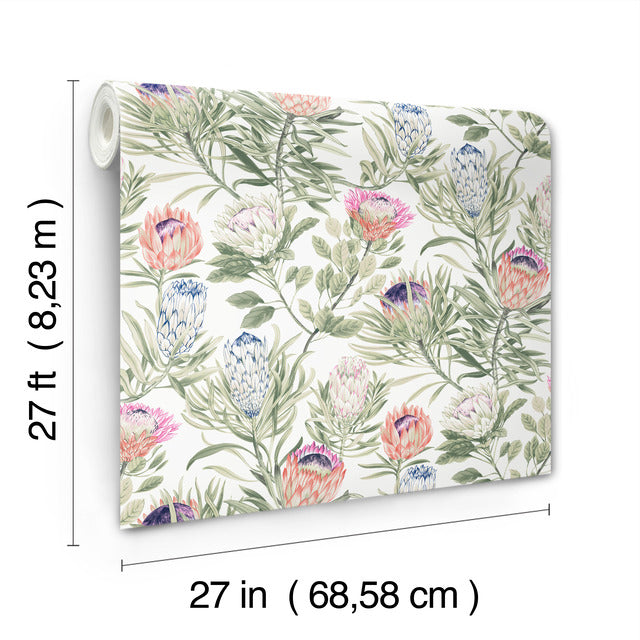 Purchase Bl1752 | Blooms, Protea - York Wallpaper