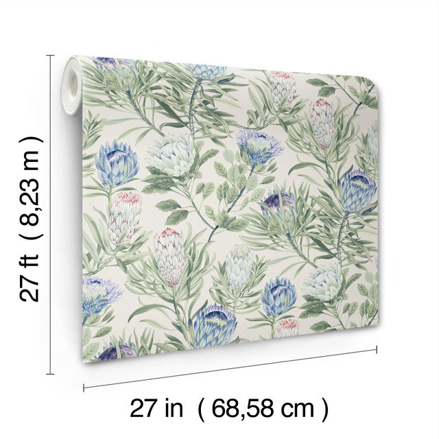 Purchase Bl1753 | Blooms, Protea - York Wallpaper