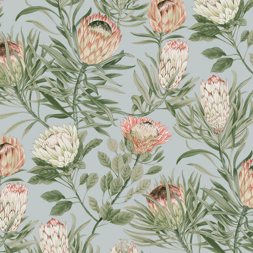 Purchase Bl1755 | Blooms, Protea - York Wallpaper