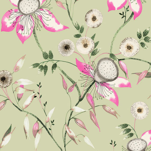 Purchase Bl1791 | Blooms, Dream Blossom - York Wallpaper