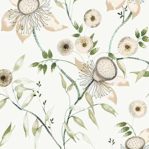 Purchase Bl1793 | Blooms, Dream Blossom - York Wallpaper