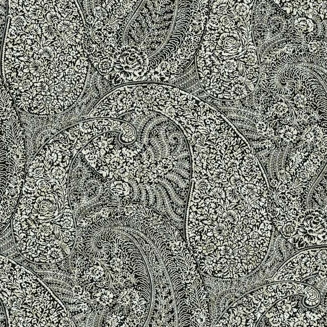 Search BO6654 Kashmir Dreams Paisley Bohemian Luxe by Antonina Vella Wallpaper