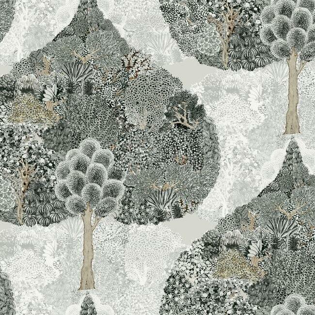 Buy BO6703 Mystic Forest Bohemian Luxe by Antonina Vella Wallpaper