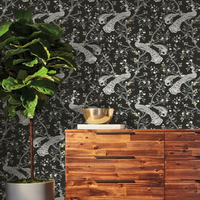 Order Bw3802 Plume Black And White Resource Library York Wallpaper