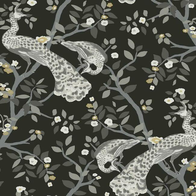 Order BW3802 Plume Black and White Resource Library by York Wallpaper