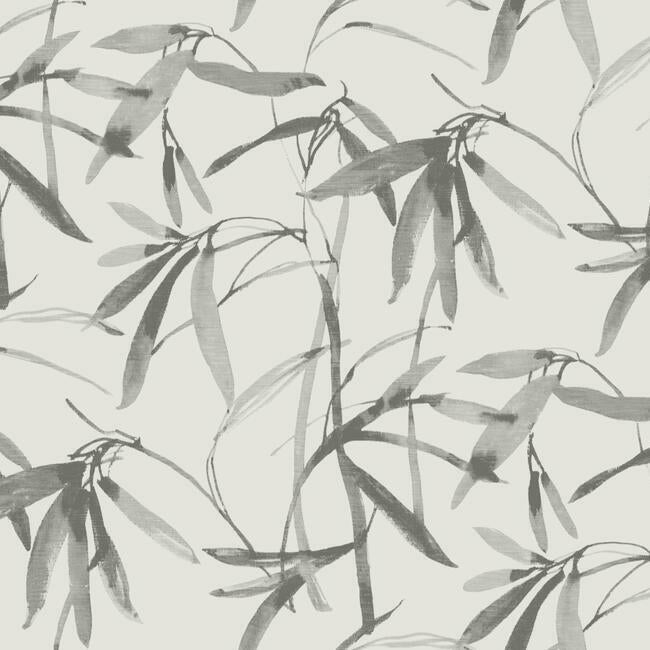 Search BW3841 Bamboo Ink Black and White Resource Library by York Wallpaper