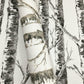 Buy Bw3902 Paper Birch Black And White Resource Library York Wallpaper
