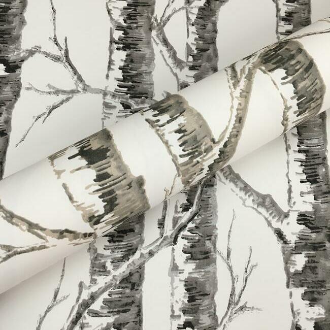 Order Bw3902 Paper Birch Black And White Resource Library York Wallpaper