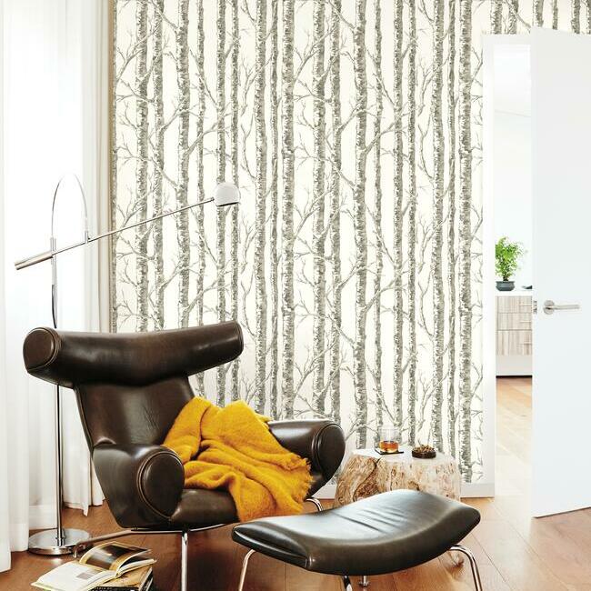 Save Bw3901 Paper Birch Black And White Resource Library York Wallpaper