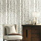 Search Bw3901 Paper Birch Black And White Resource Library York Wallpaper