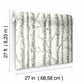 View Bw3901 Paper Birch Black And White Resource Library York Wallpaper