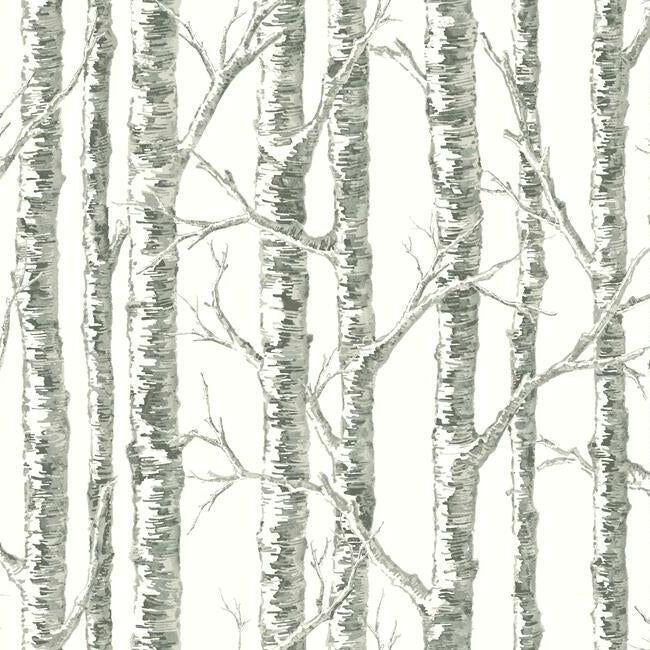 Find BW3901 Paper Birch Black and White Resource Library by York Wallpaper