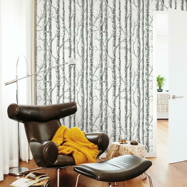 Find Bw3902 Paper Birch Black And White Resource Library York Wallpaper