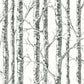 Find BW3902 Paper Birch Black and White Resource Library by York Wallpaper