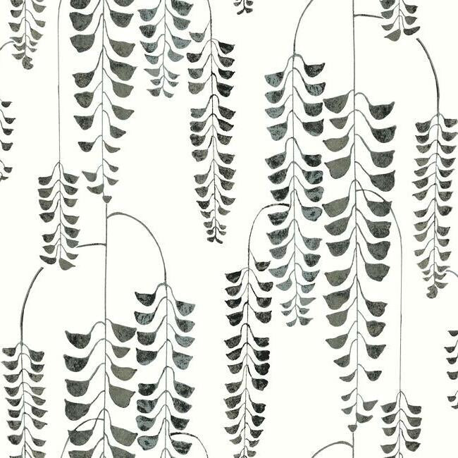 Acquire BW3943 Deco Wisteria Black and White Resource Library by York Wallpaper