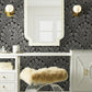 Acquire BW3951 Shell Damask Wallpaper Black/Glint Damask Resource Library York Wallpaper1 