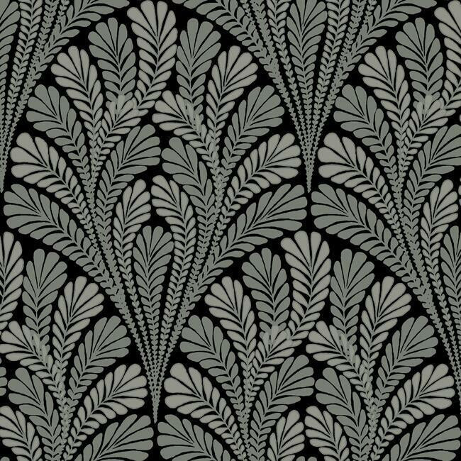 Acquire BW3951 Shell Damask Wallpaper Black/Glint Damask Resource Library York Wallpaper1 