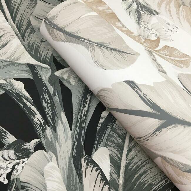 Shop Bw3971 Banana Leaf Black And White Resource Library York Wallpaper