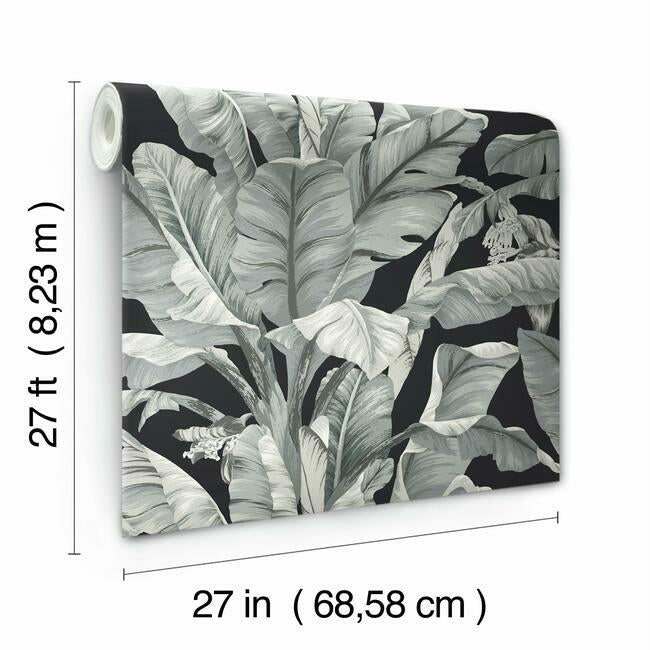 Acquire Bw3971 Banana Leaf Black And White Resource Library York Wallpaper